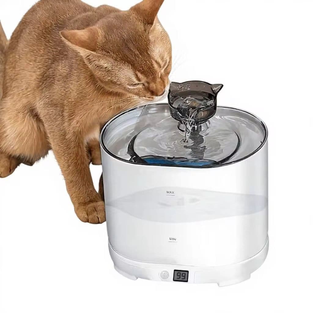 Sensor Inteligente para Fuentes de Gatos: Agua Fresca y Ahorro Energético