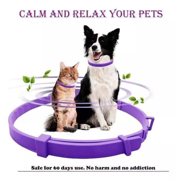 Collar Relajante Para Gatos Y Perros
